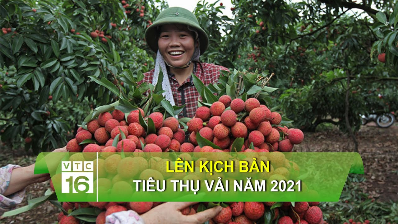 Hotspot Matrix – Kết thúc hành trình 3 ngày rực rỡ tại SECC 2025