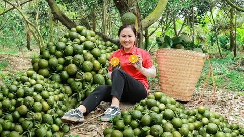 Vì sao xào thịt bò để lửa nhỏ dễ bị dai?