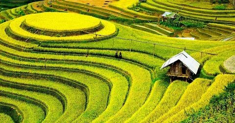 Biến động điểm chuẩn Đại học Y Hà Nội bốn năm gần nhất